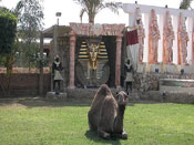 poza Amar Sina Resort 2