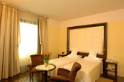 poza Hotel Antares Accademia 1