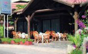 poza Hotel Asutay 3