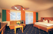 poza Hotel Der Waldhof 1