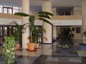 poza Hotel Fiesta Beach 2