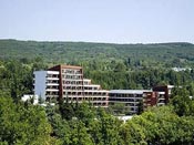 poza Hotel Flamingo 3