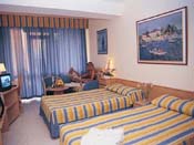 poza Hotel Lebed 2
