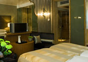 poza Hotel Starhotels Rosa 2