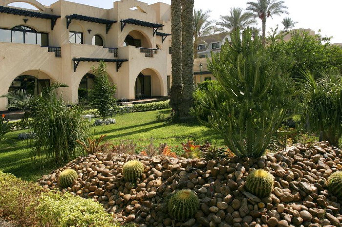 Hotel Oasis Hotel Cairo 4 stele, Cairo, Egipt