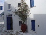 Hotel Alekos Pensions 2 stele, Insula Mykonos, Grecia