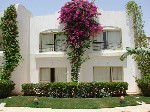 Hotel Luna 3 stele, Sharm el Sheikh, Egipt