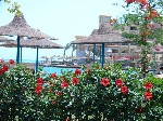 Hotel Sunny Days Palma De Mirette 4 stele, Hurghada, Egipt