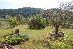 Hotel Ta Petrina 4 stele, Sithonia, Grecia