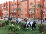 Hotel Albatros Aqua Vista Resort and Spa 4 stele, Hurghada, Egipt