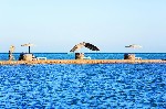 Hotel Movenpick Resort and Spa El Gouna 5 stele, El Gouna, Egipt