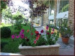 Hotel Sara 2 stele, Neptun, Romania