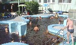 Hotel Baratsag 3 stele, Hajduszoboszlo, Ungaria
