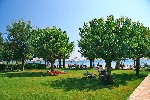 Hotel Delfinia 4 stele, Insula Corfu, Grecia