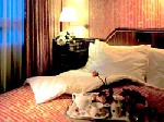 Hotel Kaiser Franz Joseph 4 stele, Viena, Austria
