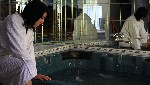 Hotel Napsugar 3 stele, Hajduszoboszlo, Ungaria