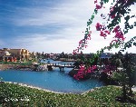 Hotel Sheraton Miramar Resort 5 stele, El Gouna, Egipt