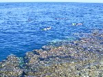 Hotel Shores Amphoras 5 stele, Sharm el Sheikh, Egipt