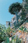 Hotel Ariston 4 stele, Taormina, Italia