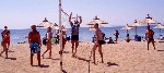 Hotel Blue Dolphin 4 stele, Sithonia, Grecia