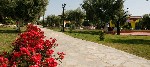 Hotel Blue Dolphin 4 stele, Sithonia, Grecia