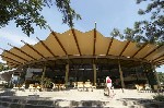 Hotel Magnolia Lux 3 stele, Albena, Bulgaria
