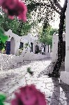 Hotel Marpunta Village 3 stele, Insula Alonissos, Grecia