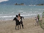Hotel Mediterranean Beach Resort Hotel 5 stele, Insula Zakynthos, Grecia