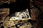 Hotel Pegasus 3 stele, Insula Thassos, Grecia