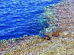 Hotel Sharm Reef Hotel 3 stele, Sharm el Sheikh, Egipt