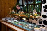 Hotel Trakia Plaza 4 stele, Sunny Beach, Bulgaria