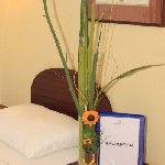 Hotel Alexander 3 stele, Viena, Austria