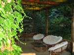 Hotel Dana 4 stele, Venus, Romania