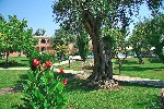 Hotel Delfinia 4 stele, Insula Corfu, Grecia