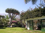 Hotel Miramar 4 stele, Tenerife, Spania