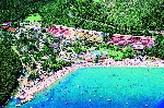 Hotel Resort Mimosa Hedera Narcis 3 stele, Rabac, Croatia