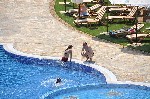 Hotel Topola Skies Golf and Spa Resort 4 stele, Kavarna, Bulgaria