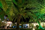 Hotel Zante Park 4 stele, Insula Zakynthos, Grecia