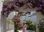Hotel Agapi Beach 4 stele, Insula Creta, Grecia