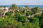 Hotel Coral Sea Imperial Resort 5 stele, Sharm el Sheikh, Egipt