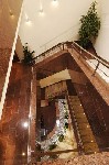 Hotel Crystal Palace 4 stele, Praga, Cehia