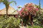 Hotel Panorama Bungalows Resort El Gouna 4 stele, El Gouna, Egipt