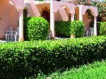Hotel Pharao Hotels Al Mashrabia Hurghada 4 stele, Hurghada, Egipt