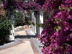 Hotel Agapi Beach 4 stele, Insula Creta, Grecia