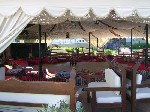 Hotel Shores Amphoras 5 stele, Sharm el Sheikh, Egipt