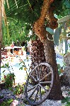 Hotel Ariston 4 stele, Taormina, Italia