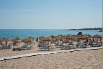 Hotel Oasis del Mare 4 stele, Lozenets, Bulgaria