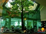 Hotel Sunshine Club Magnolia and Spa 4 stele, Nisipurile de Aur, Bulgaria