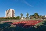 Hotel THB Sur Mallorca 4 stele, Mallorca, Spania