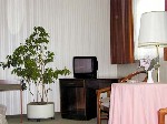 Hotel Thuringer Hof 3 stele, Viena, Austria